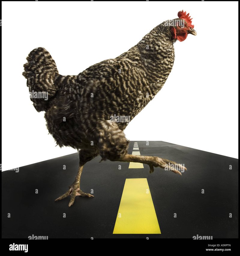 Meilleur chicken road jeu à France